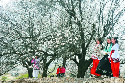 ddpay钱包官方入口展示